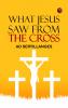 What Jesus Saw from the Cross