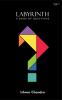 Labyrinth: A Book Of Questions