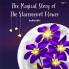 The Magical Story of The Staremenot Flower