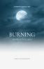 Burning Without Flames - Unseen Unheard Undone
