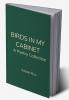 Birds in My Cabinet   A Poetry Collection
