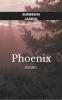 Phoenix rising  It's all about how we define adversity