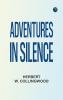 Adventures in Silence