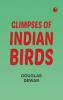 Glimpses of Indian Birds