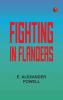 Fighting in Flanders