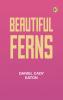 Beautiful Ferns