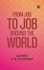 From Job to Job around the World