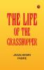The Life of the Grasshopper