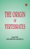 The Origin of Vertebrates