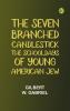 The Seven-Branched Candlestick: The Schooldays of Young American Jew