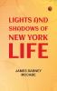 Lights and Shadows of New York Life