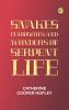 Snakes: Curiosities and Wonders of Serpent Life