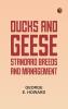 Ducks and Geese: Standard Breeds and Management