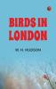 Birds in London