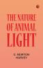 The Nature of Animal Light