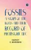 Fossils: A Story of the Rocks and Their Record of Prehistoric Life
