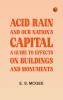 Acid Rain and Our Nation's Capital: A Guide to Effects on Buildings and Monuments
