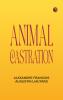 Animal Castration