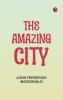 The Amazing City