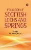 Folklore of Scottish Lochs and Springs