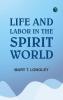 Life and labor in the spirit world