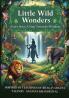 Little Wild Wonders - Every story a step towards Wisdom