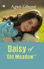 Daisy of Old Meadow