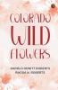 Colorado Wild Flowers