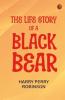 The Life Story of a Black Bear