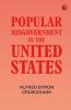 Popular misgovernment in the United States