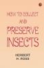How to Collect and Preserve Insects