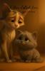 A Door Called Love - A Kitten’s Longing for Home