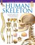Universal Reference Guide - HUMAN SKELETON