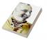 U R Ananthamoorthi: ezhuthu jeevitham rashtreeyam