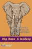 Bigdata & Hadoop
