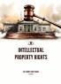 INTELLECTUAL PROPERTY RIGHTS