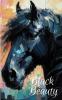 Penguin Select Classics: Black Beauty: (Original Unabridged Classic Premium Hardbound Collector's Edition Ideal for Gifting)