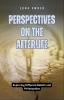 Perspectives on the Afterlife