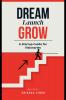 Dream Launch Grow: A Startup Guide for Visionaries