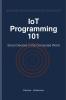 IoT Programming 101