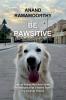 Be Pawsitive: Law of attraction and other life lessons that I learnt from my furever friend