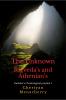 The Unknown Rigveda’s and Athenian’s: Panikkar's Christological prayāṇa 2