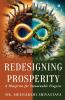 Redesigning Prosperity:  A Blueprint for Sustainable Progress
