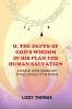 O THE DEPTH OF GOD'S WISDOM IN HIS PLAN FOR HUMAN SALVATION!: A verse-by-verse Commentary on Paul's Epistle to the Romans