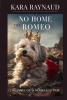No Home For Romeo... The Diary of a Homeless Dog