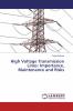 High Voltage Transmission Lines: Importance Maintenance and Risks