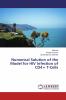 Numerical Solution of the Model for HIV Infection of CD4+ T-Cells