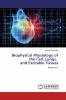 Biophysical Physiology of the Cell Lungs and Excitable Tissues