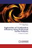 Exploration of Combustion Efficiency Using Preformed Vortex Patterns