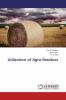 Utilization of Agro-Residues